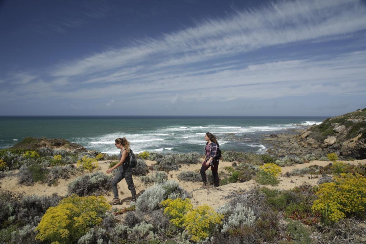Cercal do Alentejo فندق هيرديد دا ماتينيا المظهر الخارجي الصورة