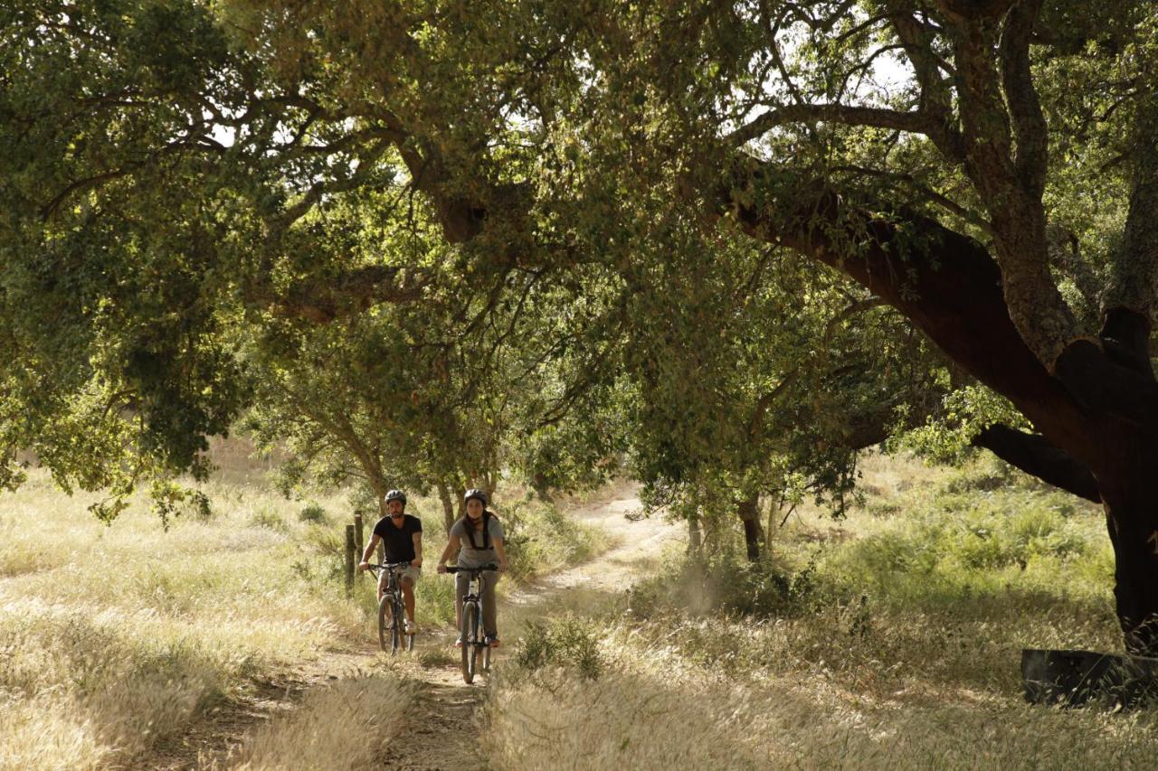Cercal do Alentejo فندق هيرديد دا ماتينيا المظهر الخارجي الصورة