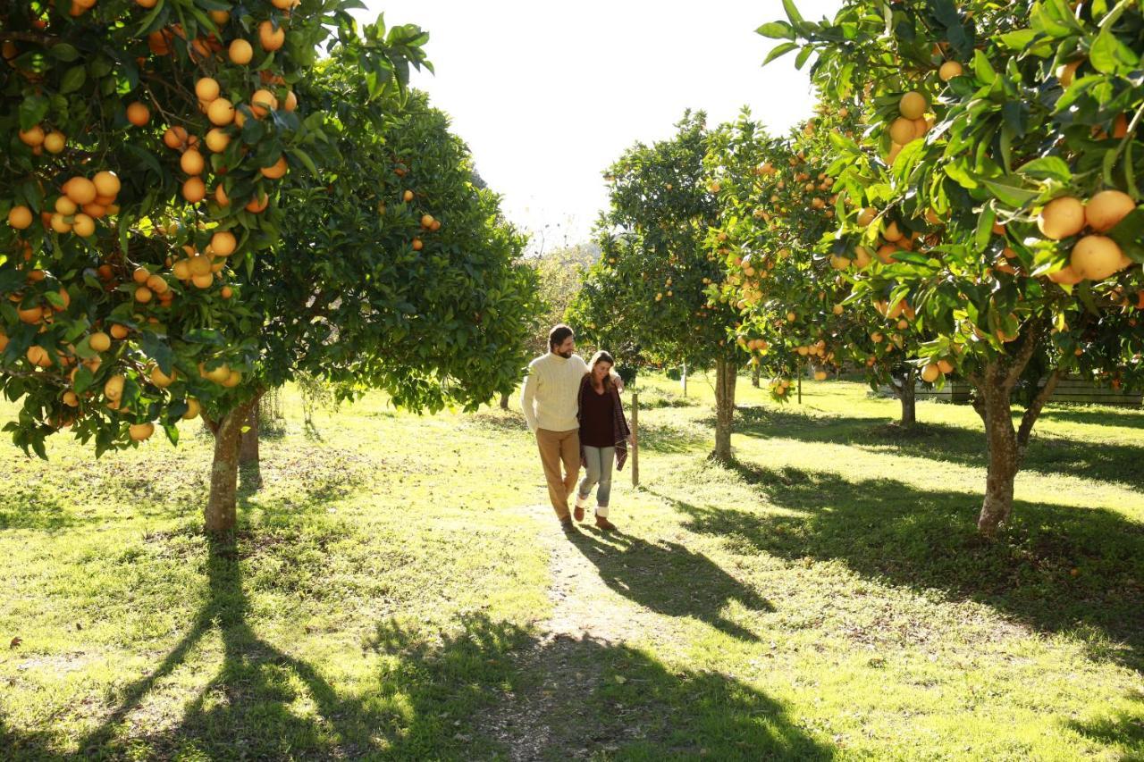 Cercal do Alentejo فندق هيرديد دا ماتينيا المظهر الخارجي الصورة